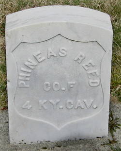 Phineas  Reed
