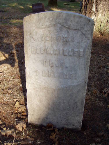 Robert Miller