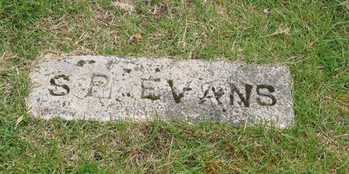 Stiles Evans