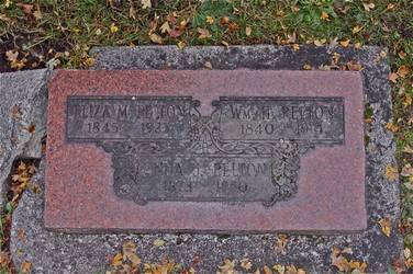 William Pelton