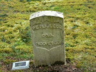Peter Legg