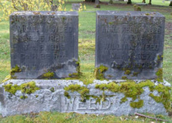 William Weed