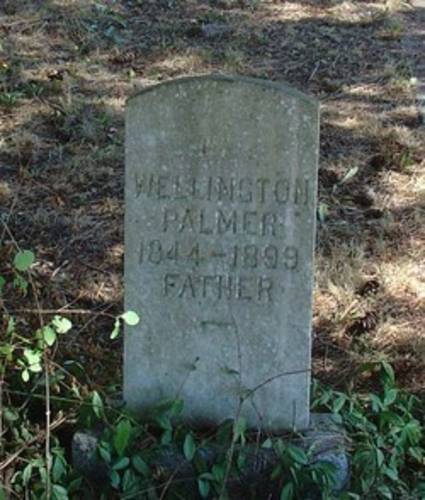 Wellington Palmer