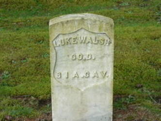 Luke Walsh