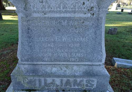 Hamblin Williams