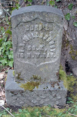 Edgar Willoughby