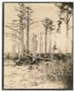 Joseph  Anderson