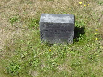 Jonas Bainton