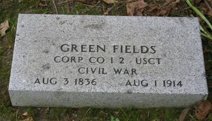 Green Fields
