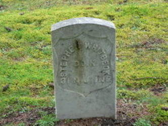 Stephen Whitbeck