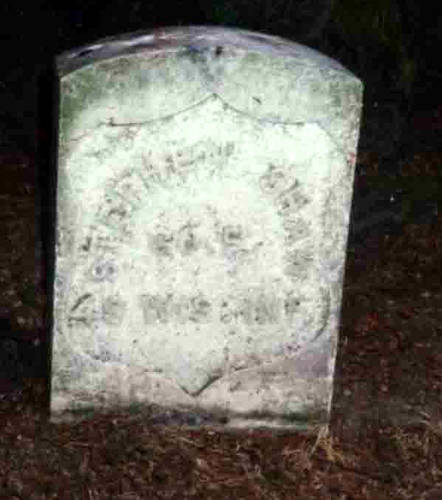 Stephen Shaw