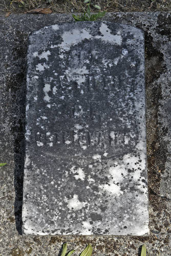  William Wilkin
