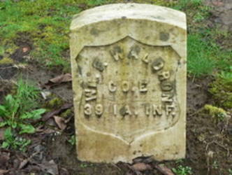 William Waldron