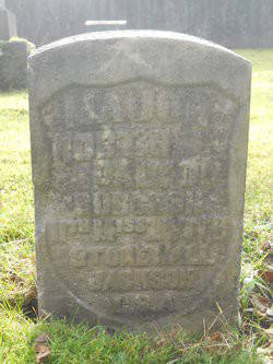 Dr. Robert Dalton
