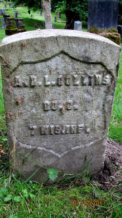 Alphonso  Collins