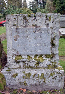 William  Donoho