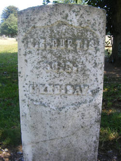 Nathan  Curtis