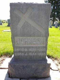 David Johnson