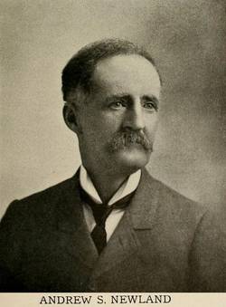 Andrew Newland