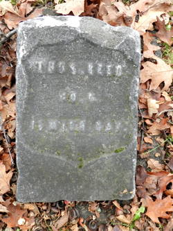 Thomas Reed