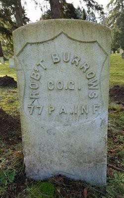 Robert Burrows