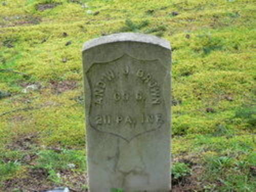 Andrew Brown