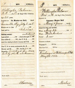 Wellington Palmer