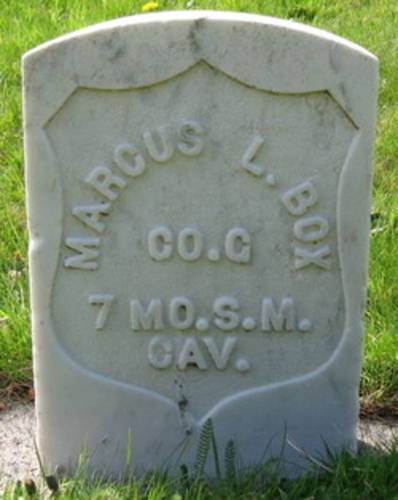 Marcus Box