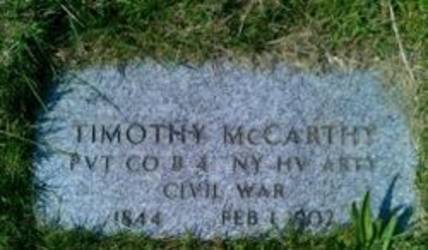 Timothy McCarthy