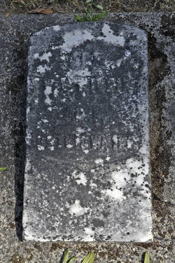  William Wilkin