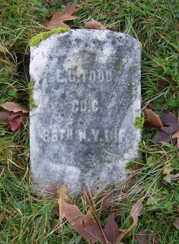 Eli Todd