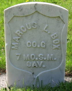 Marcus Box