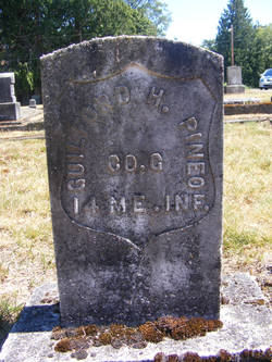 Guilford Pineo