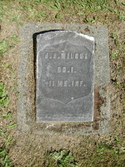 Jacob Wilcox